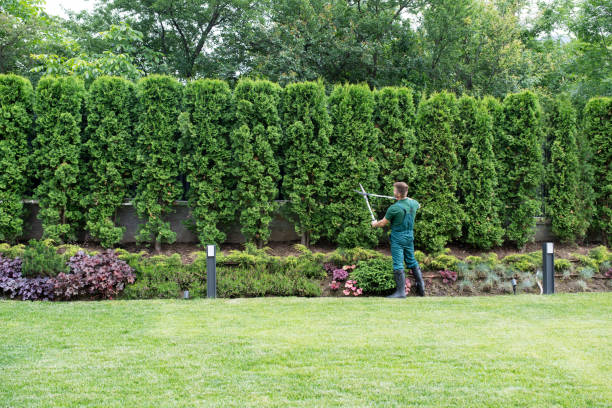 Lawn Maintenance Plans in Castalia, OH