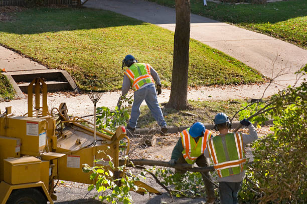 Best Lawn Pest Prevention  in Castalia, OH