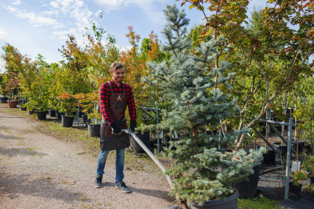 Best Tree Preservation Services  in Castalia, OH